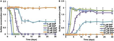 Synergy of Sodium Nitroprusside and Nitrate in Inhibiting the Activity of Sulfate Reducing Bacteria in Oil-Containing Bioreactors